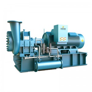 Centrifugal Vacuum Pump