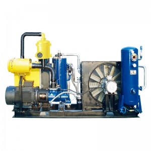 Skid-Mounted Screw Air Compressor